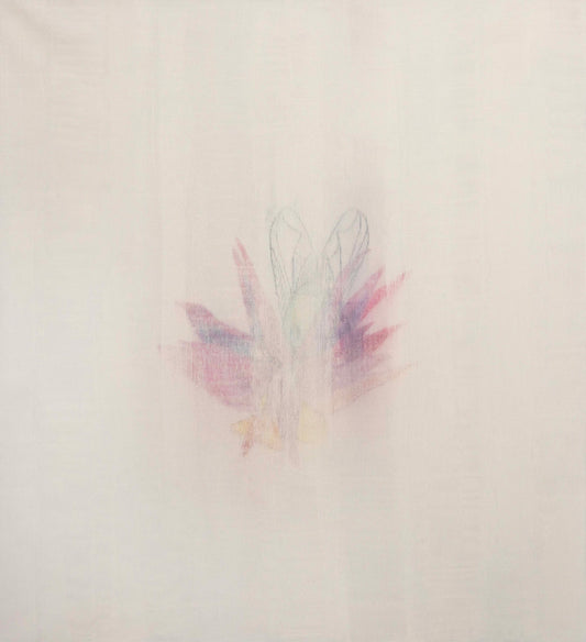 Blomsterstand med flue