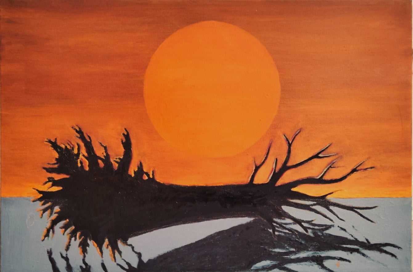 Uden titel (min første vellykkede solnedgang)