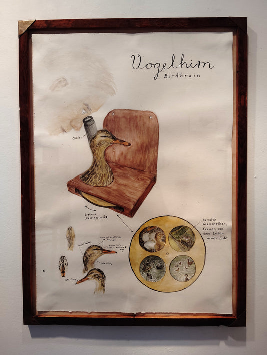 Birdbrain (Vogelhirn)