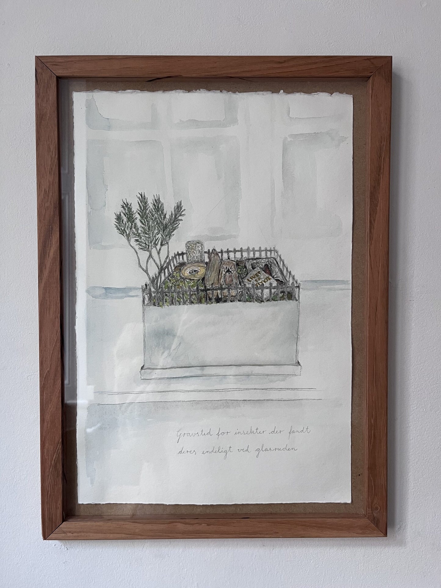 Gravsted for insekter, der fandt deres endeligt ved glasruden