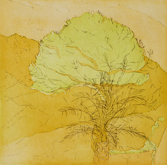 Pinje. Gul. San Cataldo. Italien