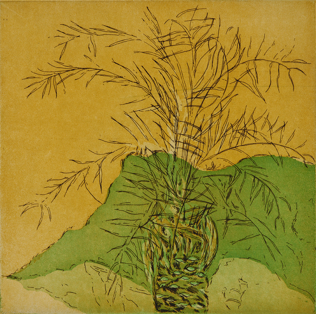 Palme. San Cataldo. Italien