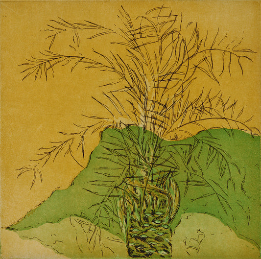 Palme. San Cataldo. Italien