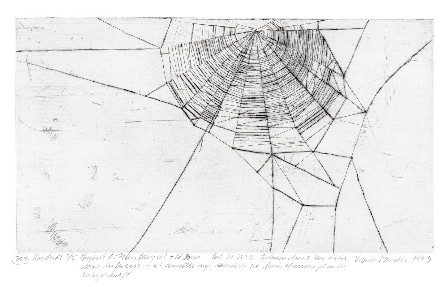 udsnit af grafisk blad fra "Augustserien"