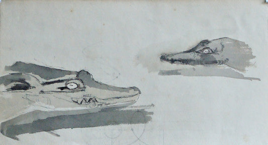 To krokodillehoveder.