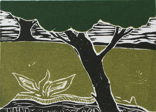 August Moon Saloon-serie