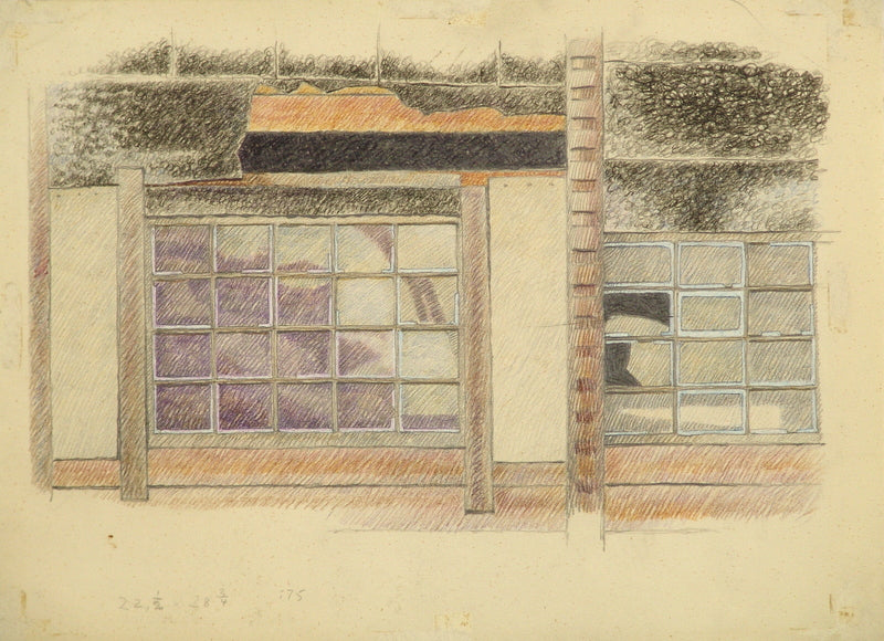 (Violette ruder i gammelt skur)