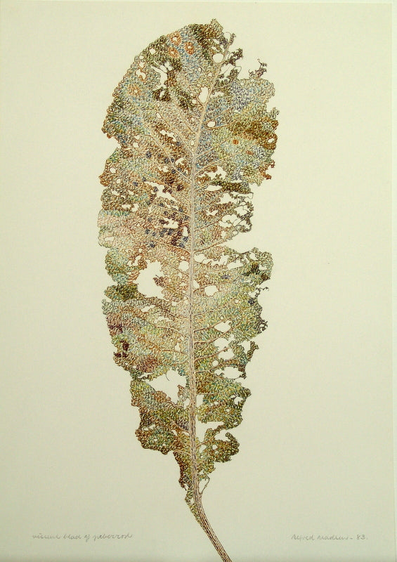 Vissent blad af peberrod