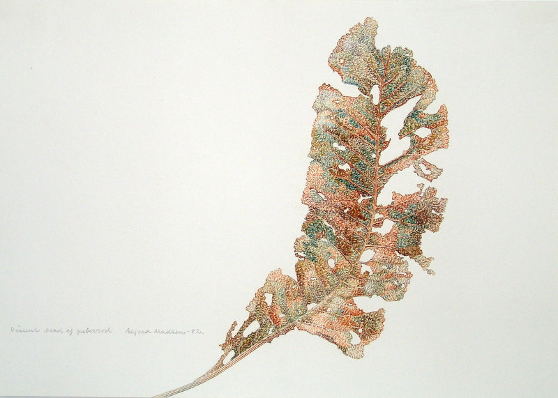 Vissent blad af peberrod