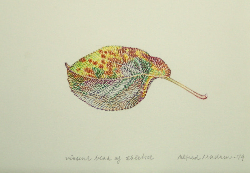 Vissent blad af æbletræ