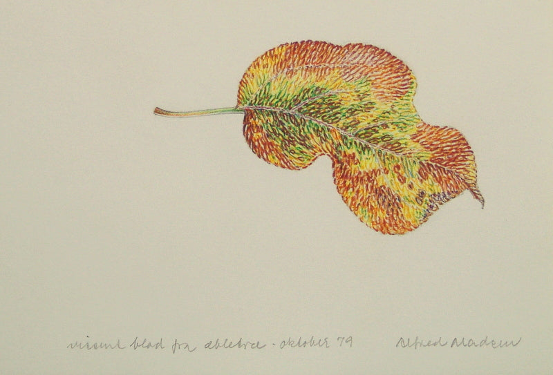 Vissent blad fra æbletræ