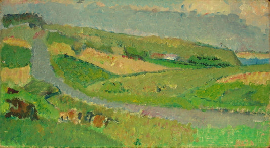 Sallinglandskab (25)