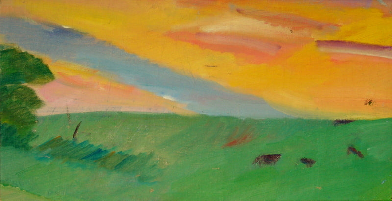 Aftenhimmel. Bakkerne ved Hvidegård, Kgs. Lyngby (2)