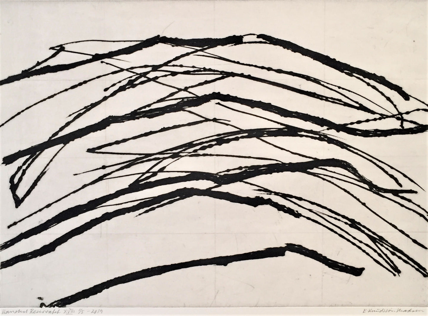 Hanstedreservat XVIII