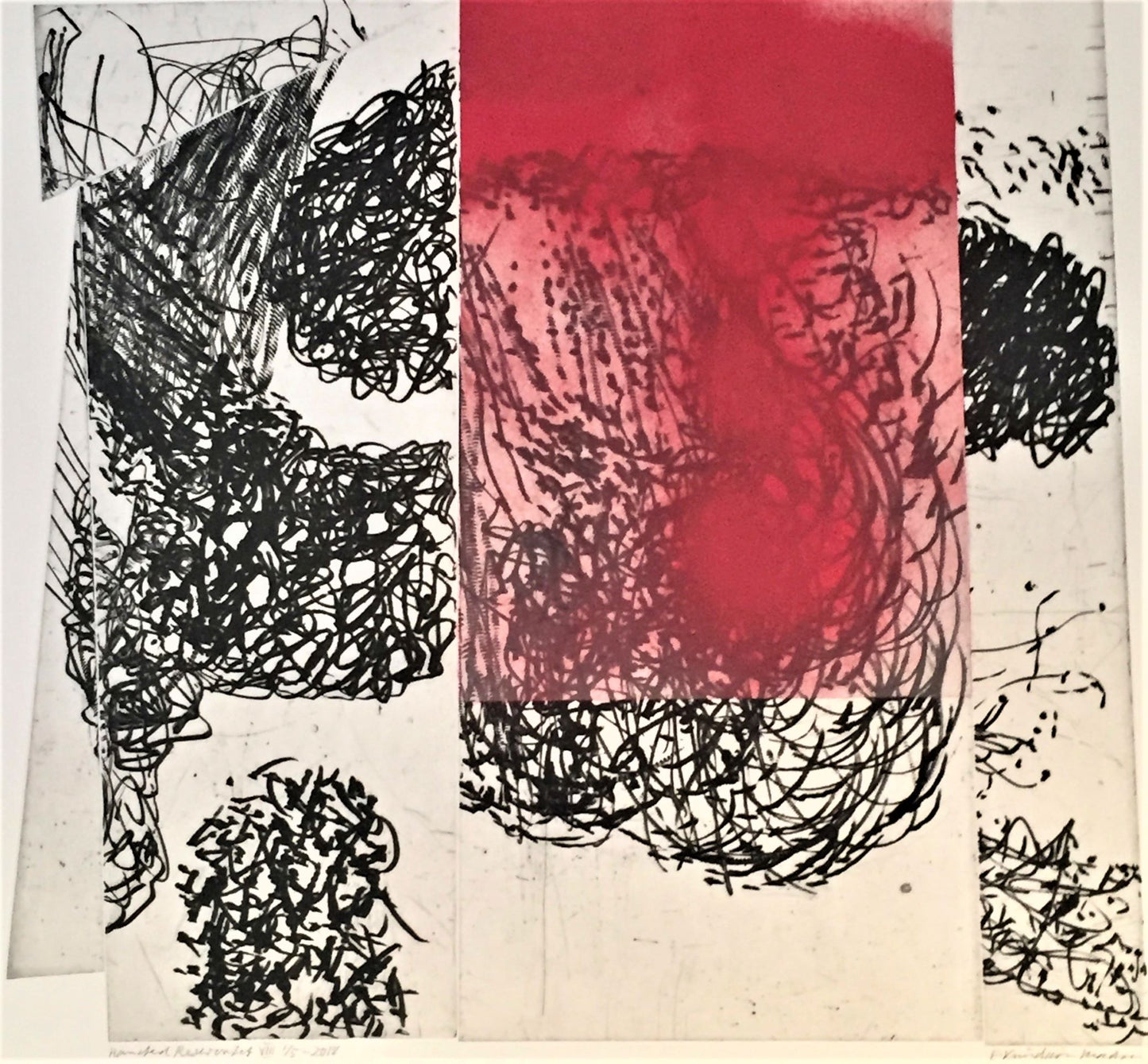 Hanstedreservat VIII