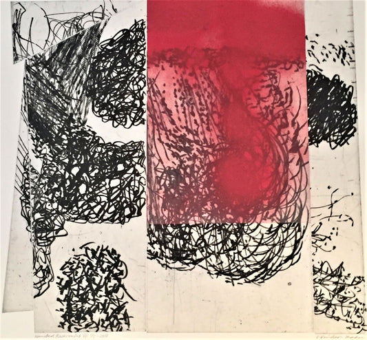 Hanstedreservat VIII