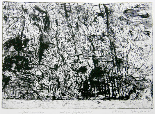 Tæt på fuglefjeldet