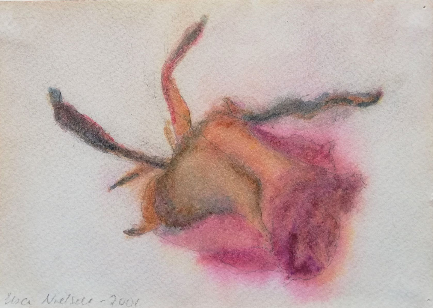 Uden titel (Vissen rosenknop)