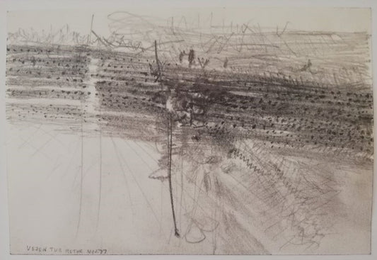 Vejen tur retur nov. 77