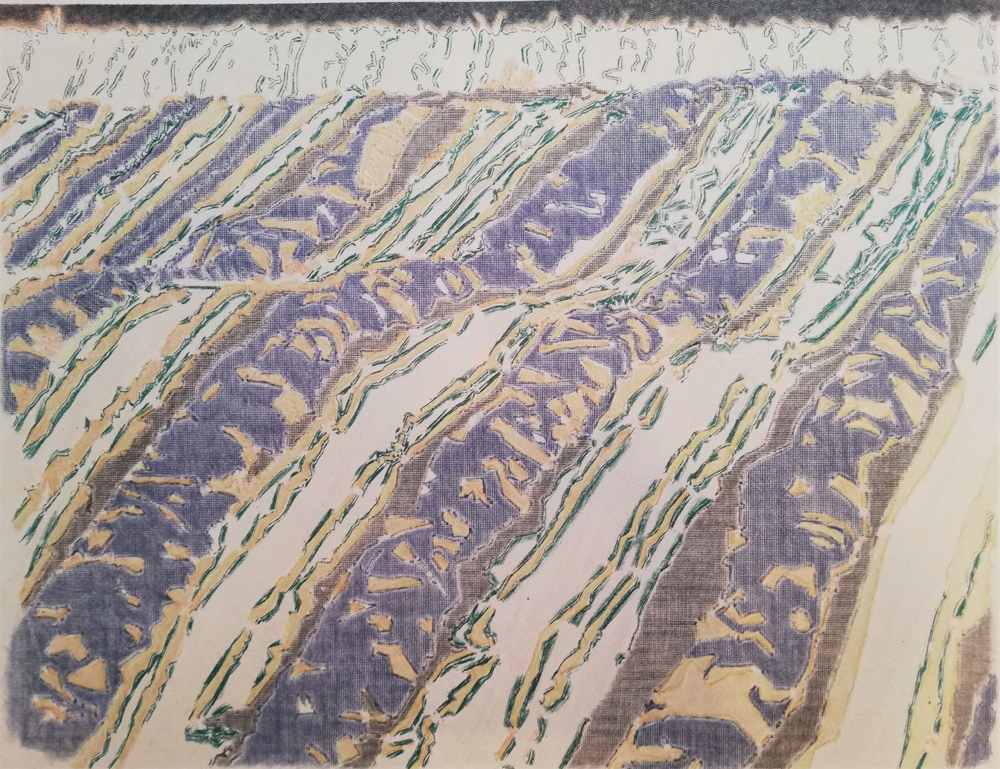 Pløjemark ved Espe Gods