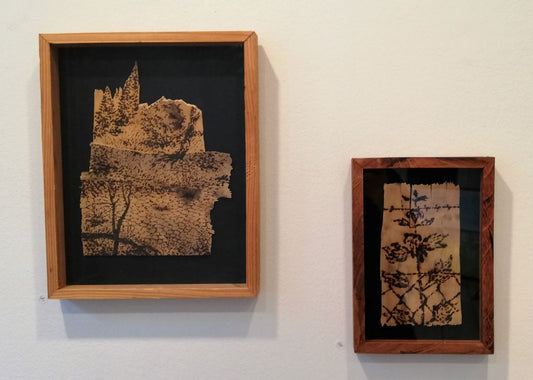 “Udtørret vandhul” og “Ahorn og hegn”