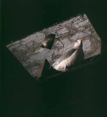 Room 6 (Head in the clouds)