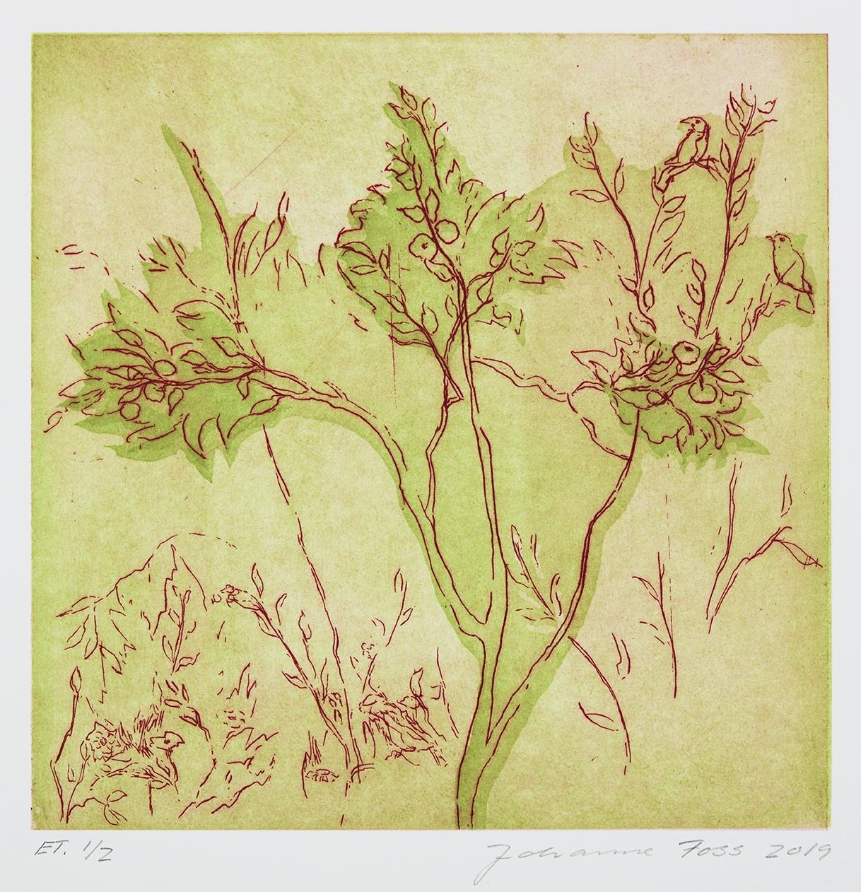 Kvædetræ. Grøn. Livias Villa. Rom. Italien