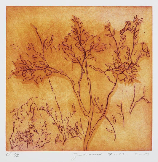 Kvædetræ. Rå sienna. Livias Villa. Rom. Italien