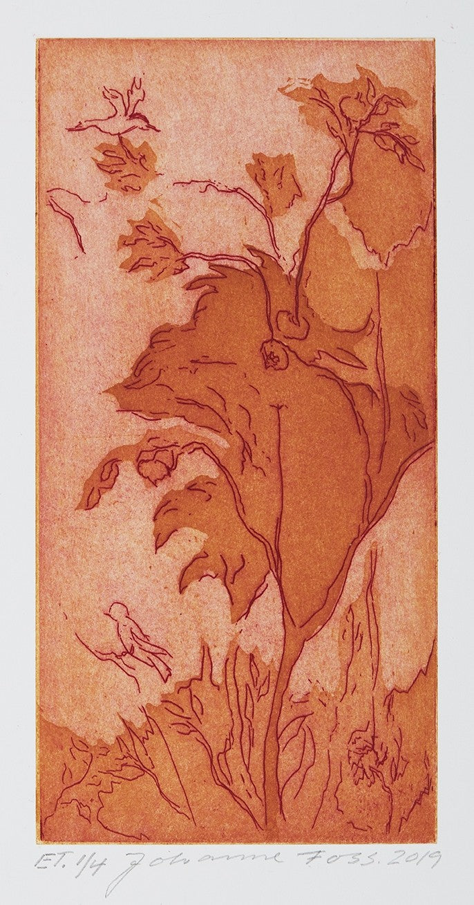 Granatæbletræ. Gul okker. Livias Villa. Rom. Italien