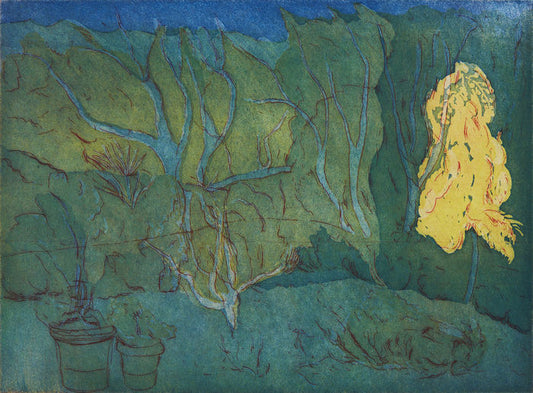 Haven. Accademia di Danimarca. Rom