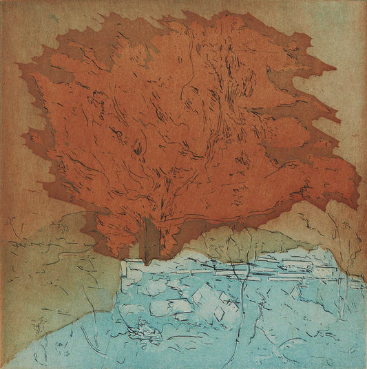 Egetræ. Turkis. Prima Porta. Italien