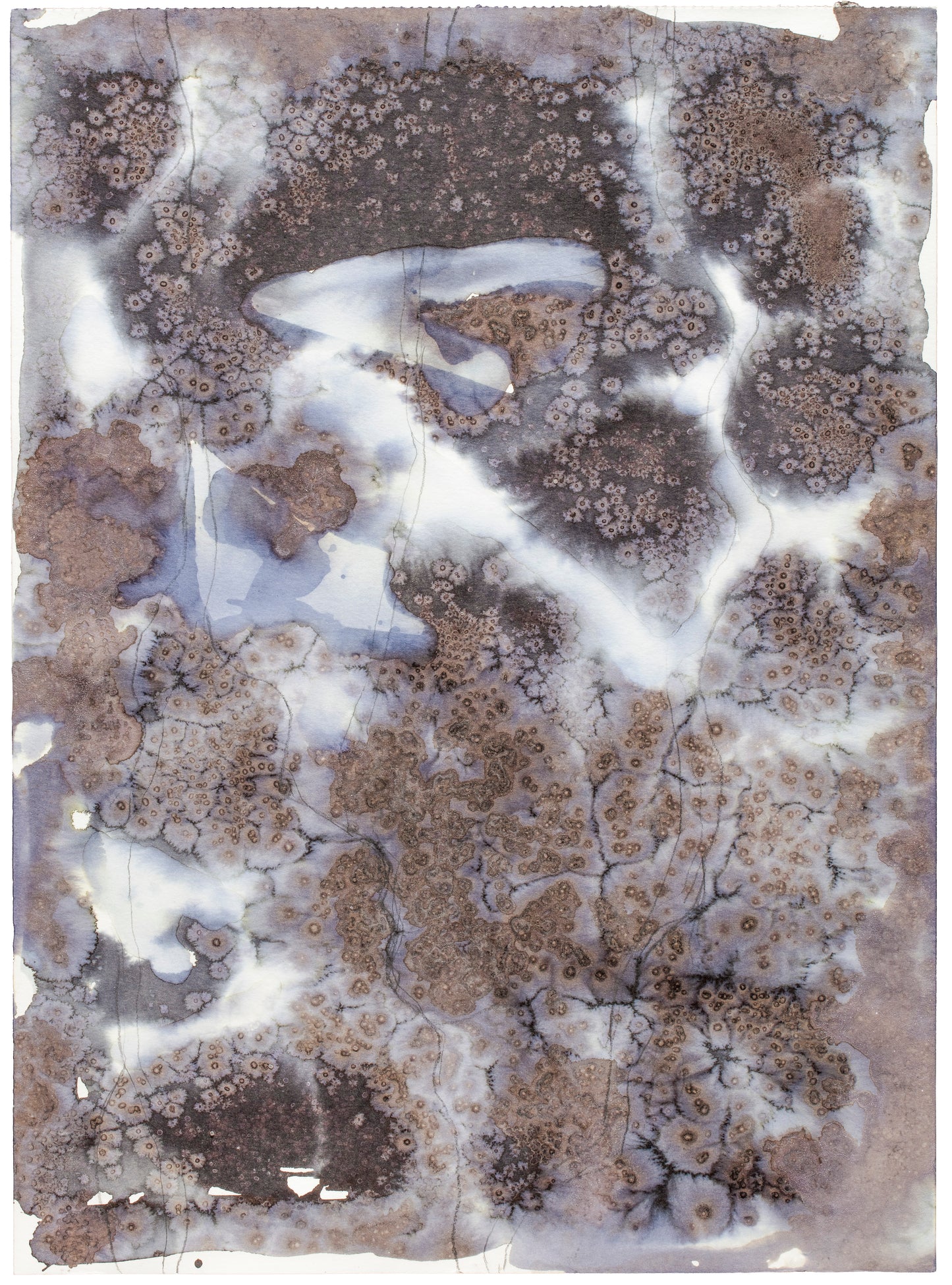 Topografiske landskaber