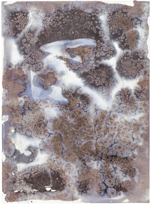 Topografiske landskaber