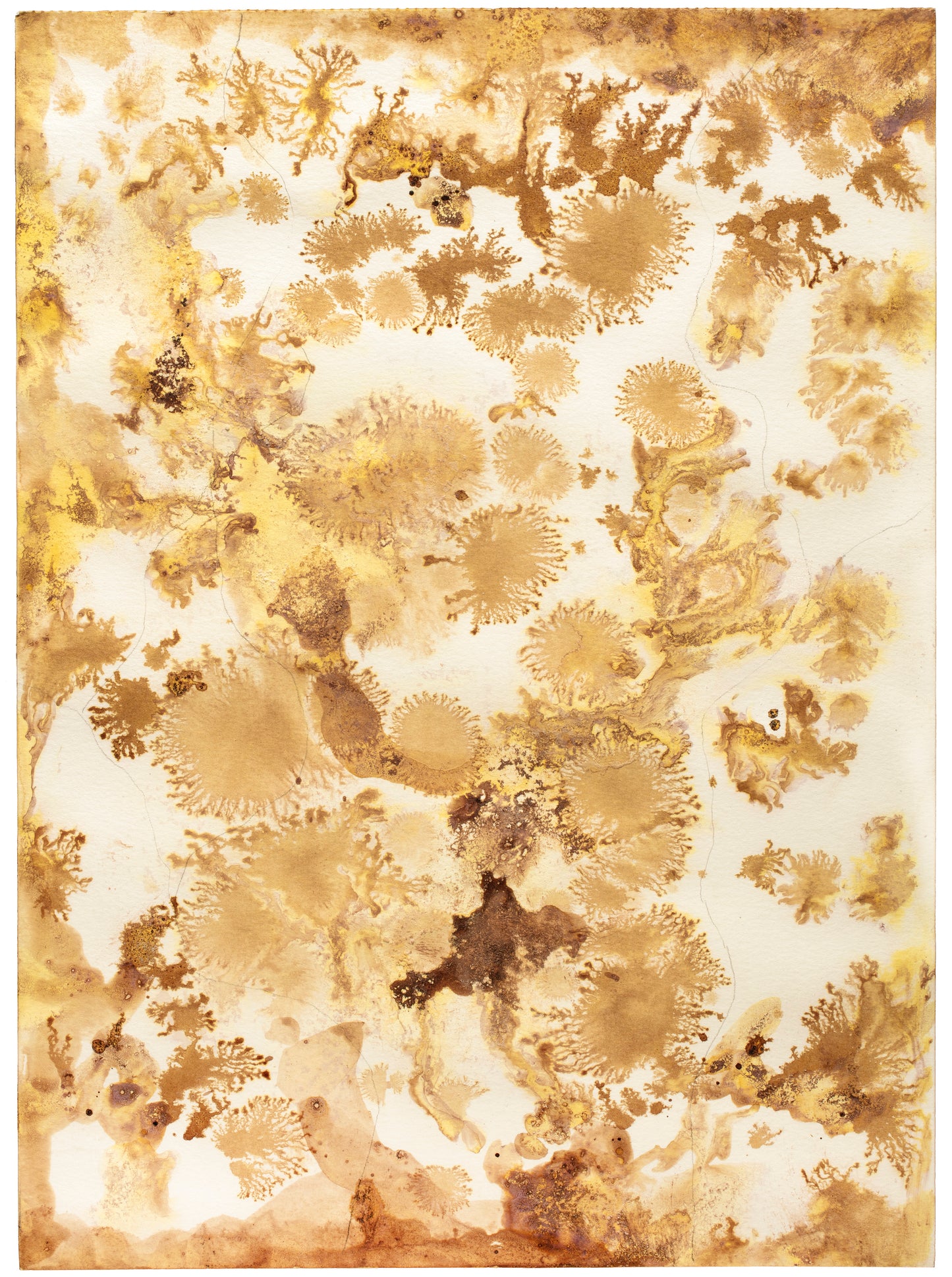 Topografiske landskaber