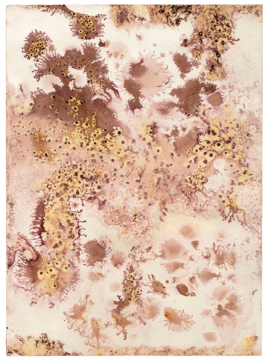 Topografiske landskaber