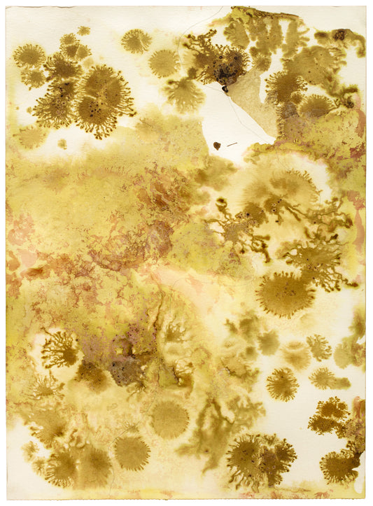 Topografiske landskaber