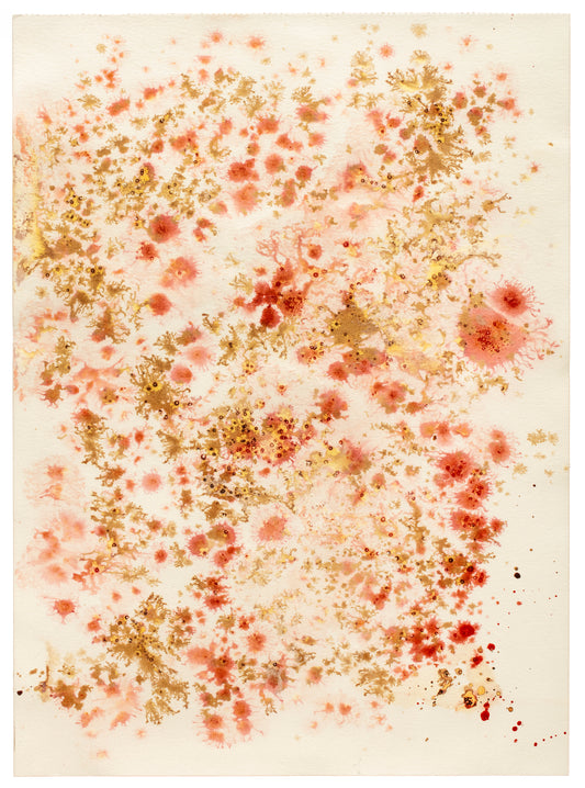 Topografiske landskaber