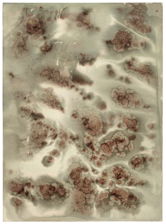 Topografiske landskaber