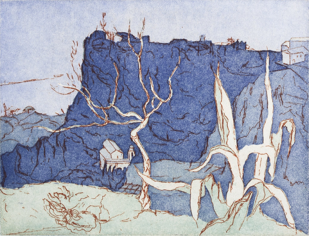 Agave. San Cataldo. Italien