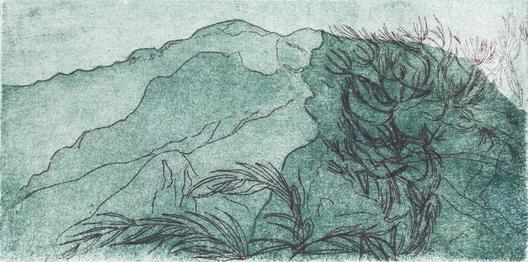 Pinje. Grøn. San Cataldo. Italien