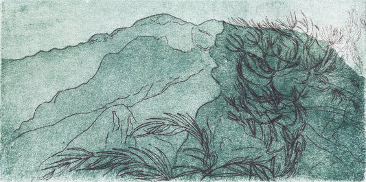 Pinje. Grøn. San Cataldo. Italien