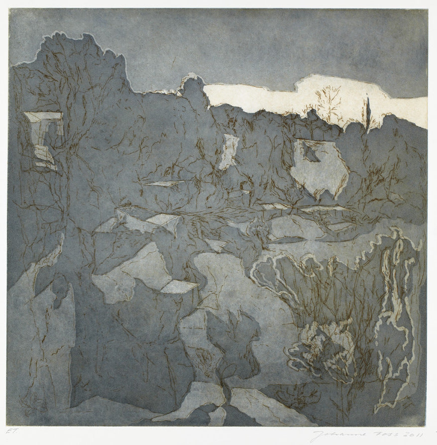 Venter på foråret. Grå. Italien 2011