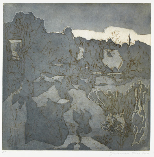 Venter på foråret. Grå. Italien 2011