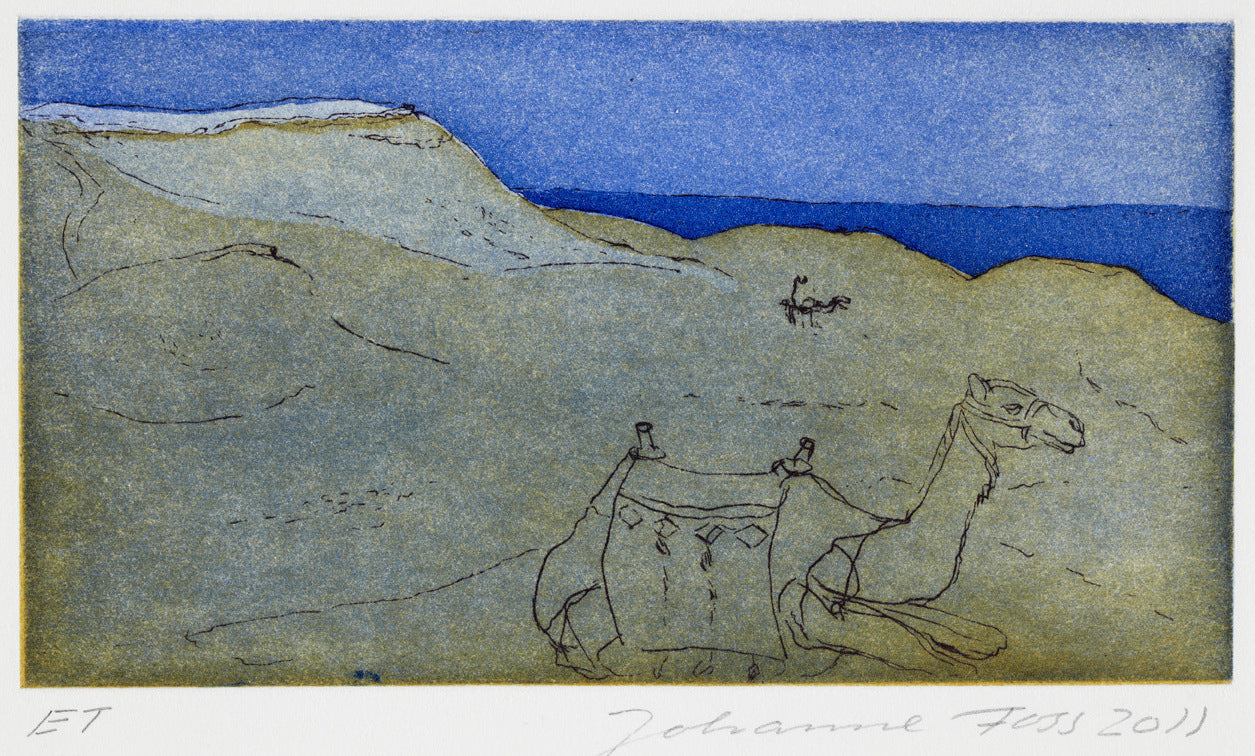 Kamel. Blå. Ægypten 2011