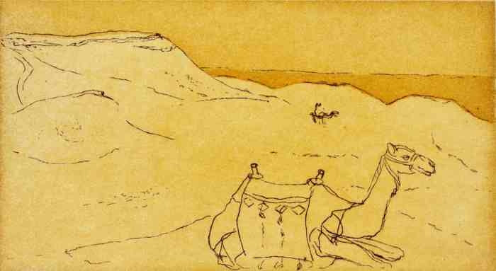 Kamel. Rå sienna. Ægypten