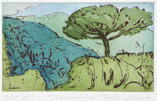 Fra Hadrians Villa. Grøn. Italien 2009