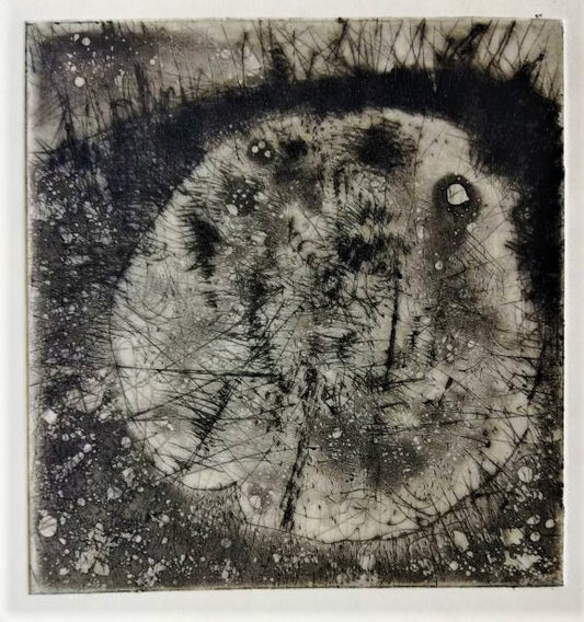 Jordfrugten. Daugløkke. (160. 2. tilstand)