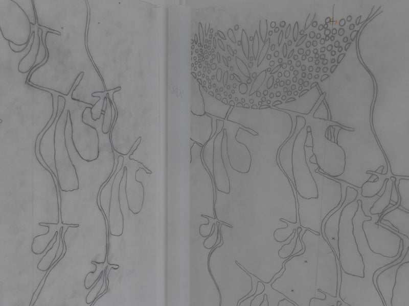 Arbejdstegning (udsnit) til udsmykning på Syddansk Universitet