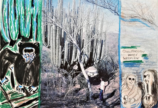 Det drømmende Mexico