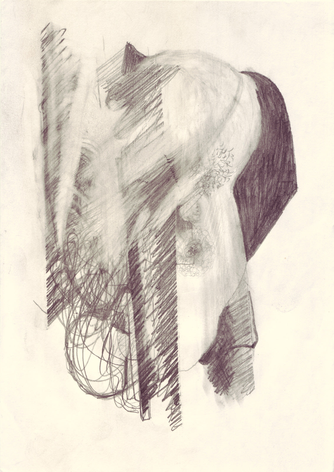 Fra menneskets verden